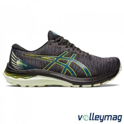 Чоловічі бігові кросівки ASICS GT-2000 11 GTX 1011B477-002 - 13236