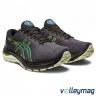 Чоловічі бігові кросівки ASICS GT-2000 11 GTX 1011B477-002 - 13238