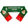 Шарф фанатський з бахромою волейбольний VOLLEYMAG VM4007-1U139 - 18769