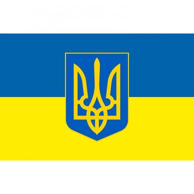  Прапор сублімований 90х60см VOLLEYMAG VM8701U - 19588